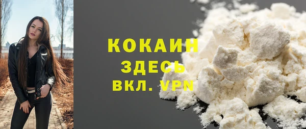 стафф Осинники