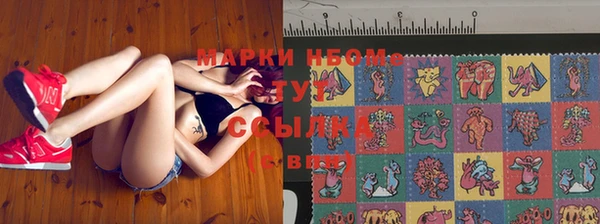 стафф Осинники