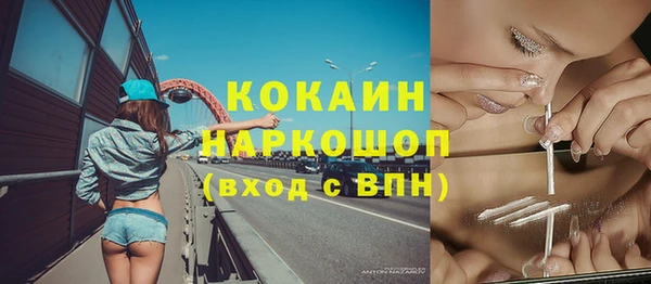 стафф Осинники