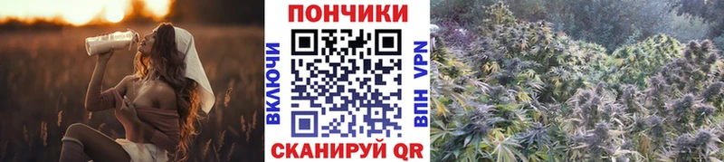 хочу наркоту Агидель Бошки марихуана Ganja